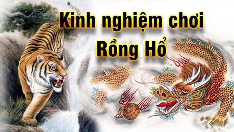 Chia sẻ kinh nghiệm chơi Dragon Tiger chiến thắng từ cao thủ